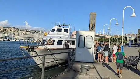 Golfo Paradiso/ Whale Watching