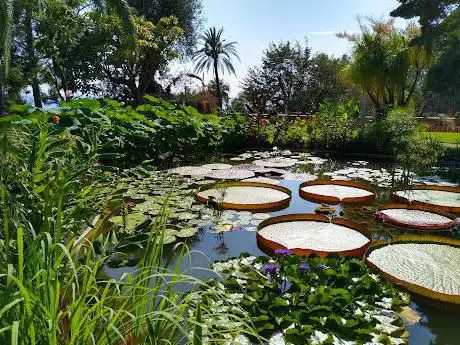 Jardin botanique Val Rahmeh-Menton