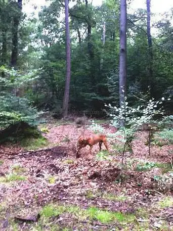 Jägersburger Moor