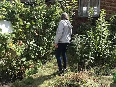 Photo de St Saviour's Edible Garden