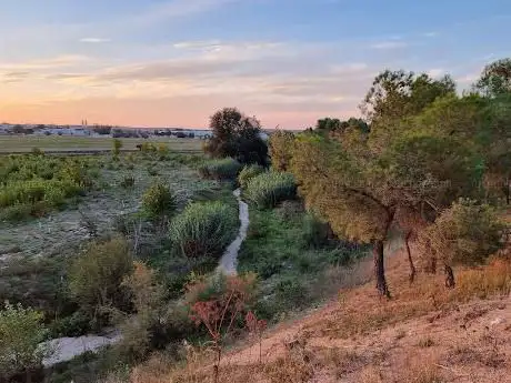 Photo de San Isidro 