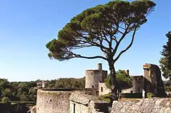 Photo de Château de Clisson, Grand Patrimoine de Loire-Atlantique