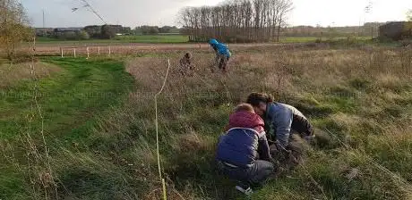 Zwaluweveld