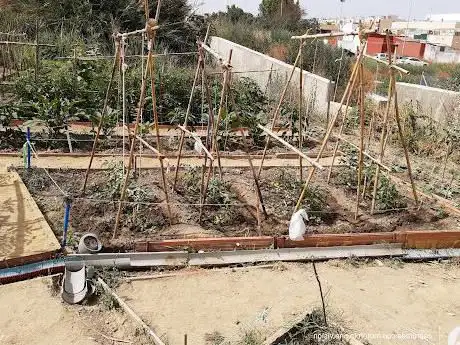 Photo de Fuente Vieja
