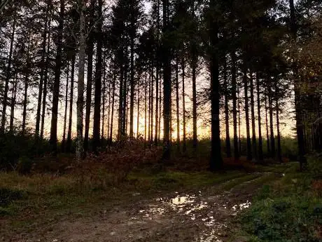 Ladock Woods Car Park