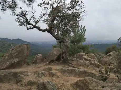 Roca Abellera