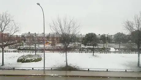 Photo de Madroños Park