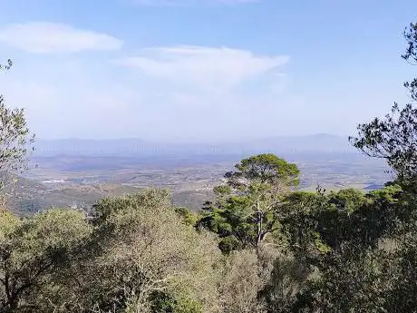 Foresta di Campidano