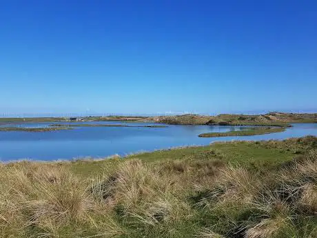 Photo de South Walney Nature Reserve
