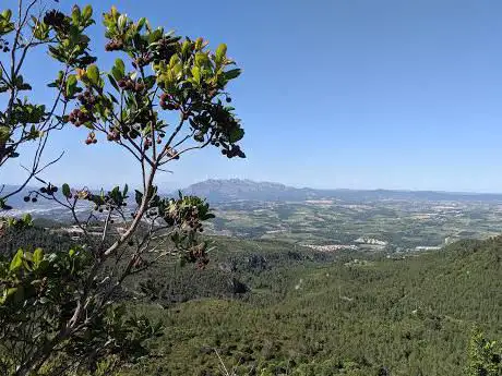Photo de Roc de Forellac