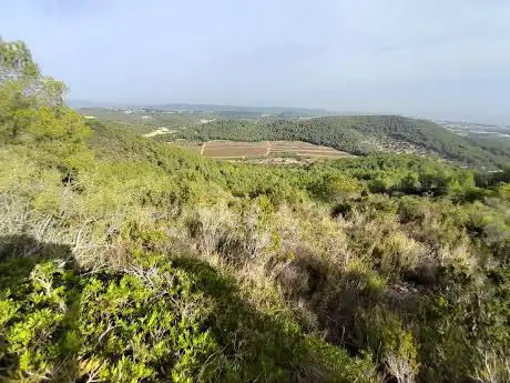 Photo de El Graó