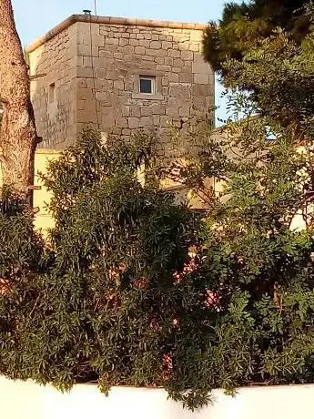 Photo de Cacholi Tower