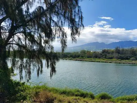 Photo de Gol Pond