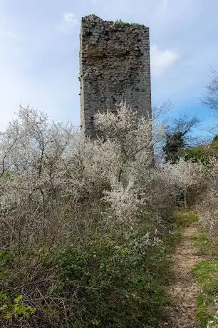 Torre dell'Aggia (Torre di Poggio del Locco)