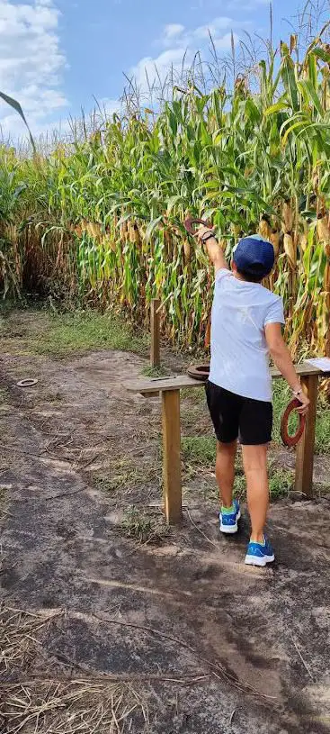 Photo de Corn Lanta Sanguinet