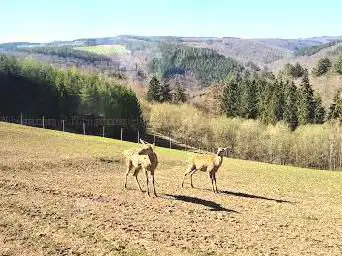 Parc Animalier