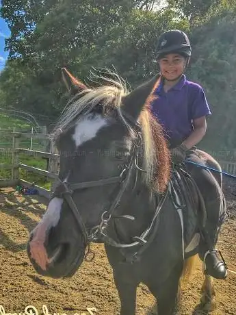 Photo de Ghyll Park Equestrian