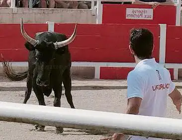 Photo de Arènes Municipales