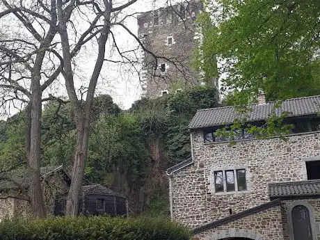 Oud kasteel van Saive ruine chateau
