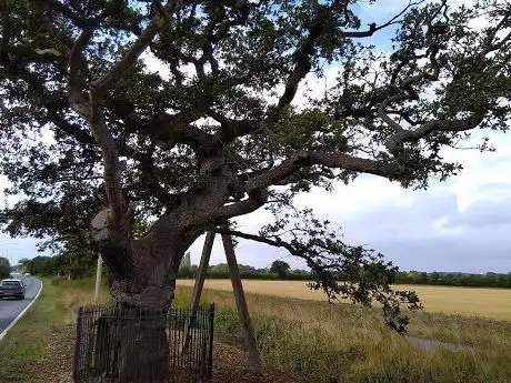 Photo de Oak of Reformation