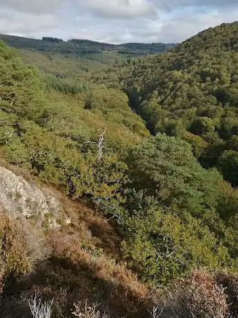 Photo de Ausewell Wood