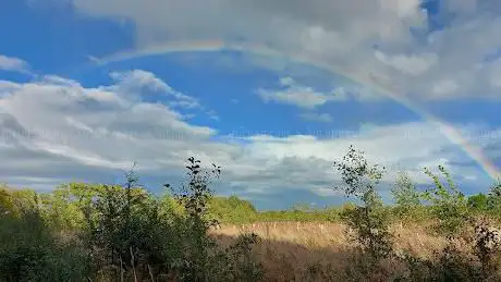 Photo de Heart of England Forest - Coxmere Wood
