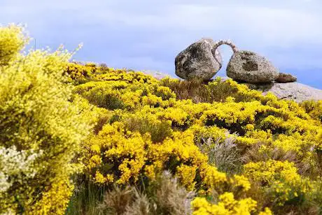 Photo de Centro de Arte y Naturaleza Cerro Gallinero
