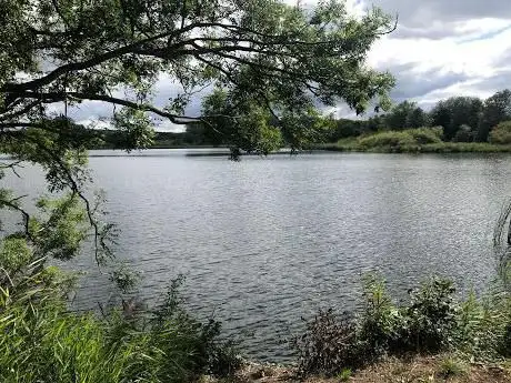 Photo de Tringford Bird Hide