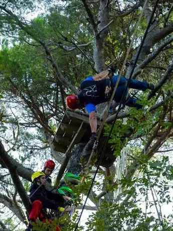 Solleone Parco Avventura