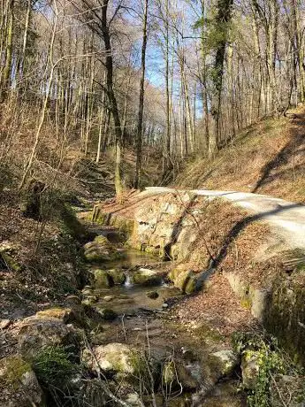 Elefantenbachweg