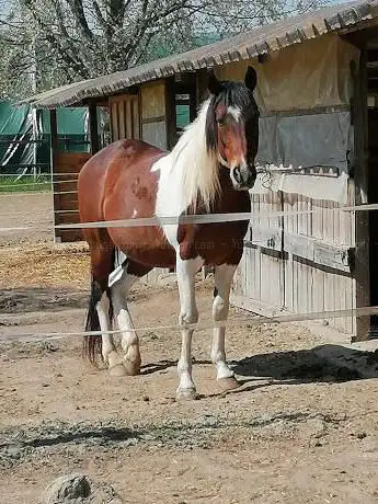 Nikita Ranch