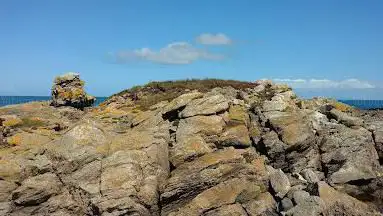 Golhédoc
