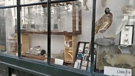 Photo de Anna's Museum