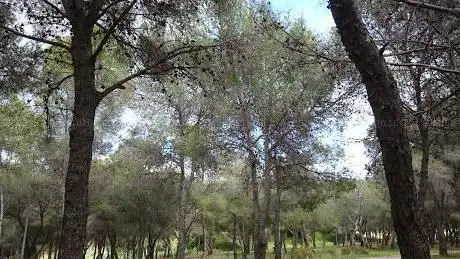 Photo de Pinar de los Manantiales