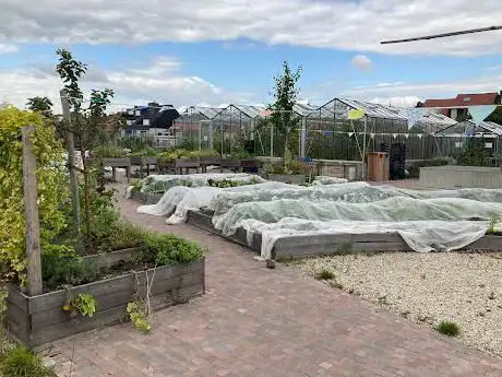 Jardin collectif Gray Moineaux
