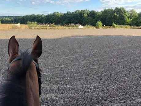 Photo de Holford Equestrian
