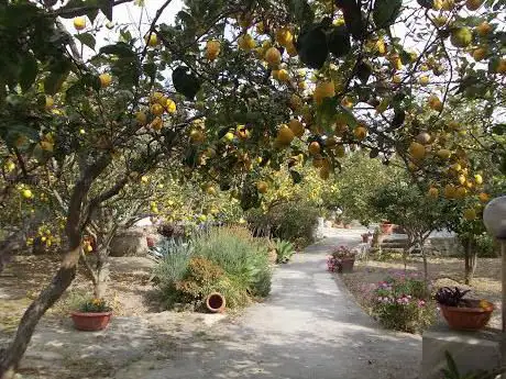 Limoneto Garden