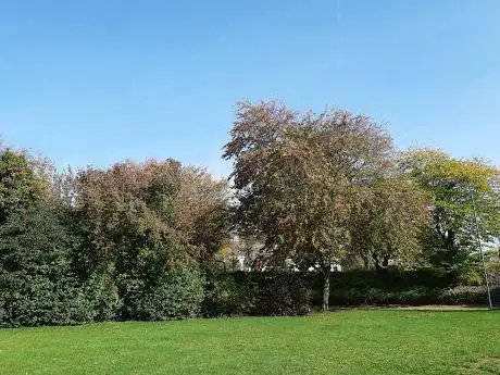 Bolzplatz Tulpenweg