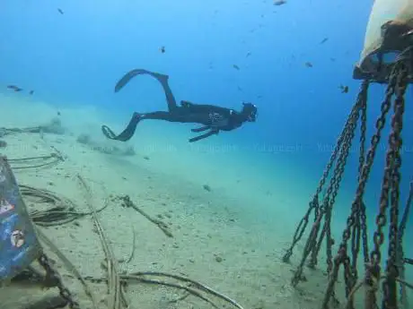 Photo de ASD Bibo Sub Diving School