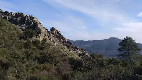Photo de El Castaño el Abuelo (Ruta Isabel la Catolica)