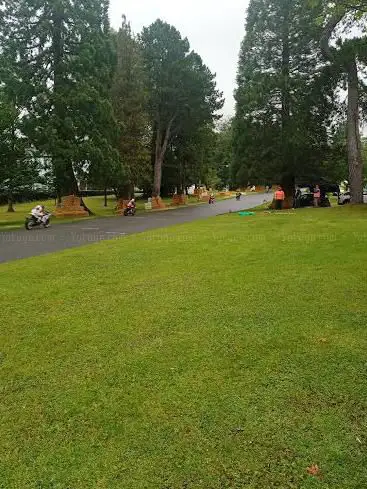 Aberdare Park Road Race