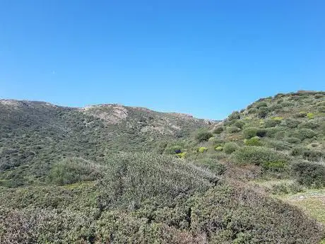 Coile de Sas Bagassas