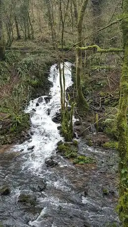Harridge Wood West Nature Reserve
