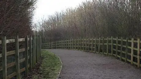 Photo de Linear Park Walking Paths
