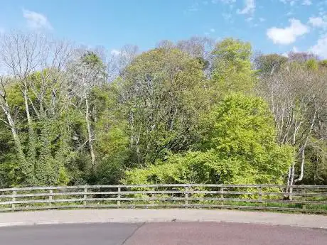Photo de Cottage Wood  Cushendall