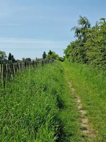 Argilière du Sterreberg