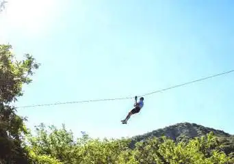 Photo de Hold on to the branches