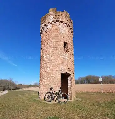 Wartturm