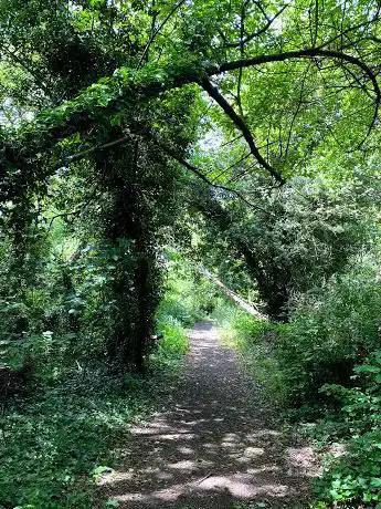Photo de Mill Hill Old Railway Nature Reserve