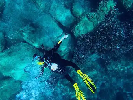 Carloforte Diving